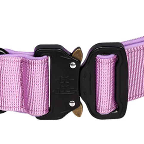 Easy leash collar