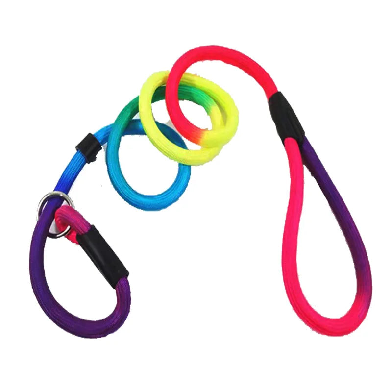 Rainbow dog lead