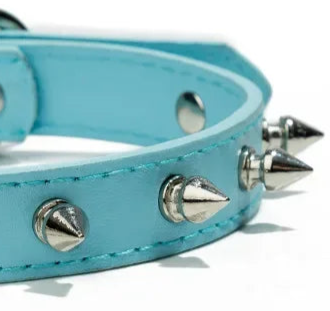 Small dog training collar