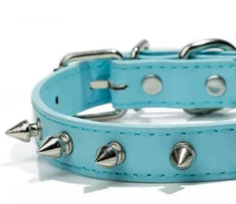 Small dog training collar