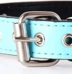 Faux leather dog collar