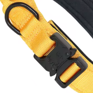 Yellow tactical dog collar