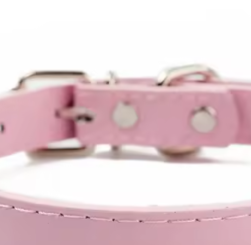 Girl puppy collar