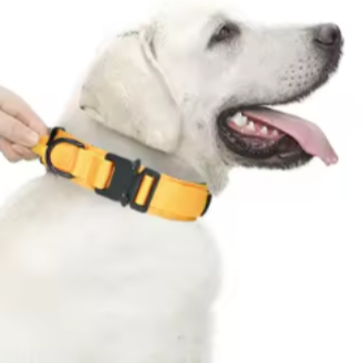 Yellow tactical dog collar