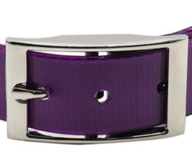 Small purple dog collar