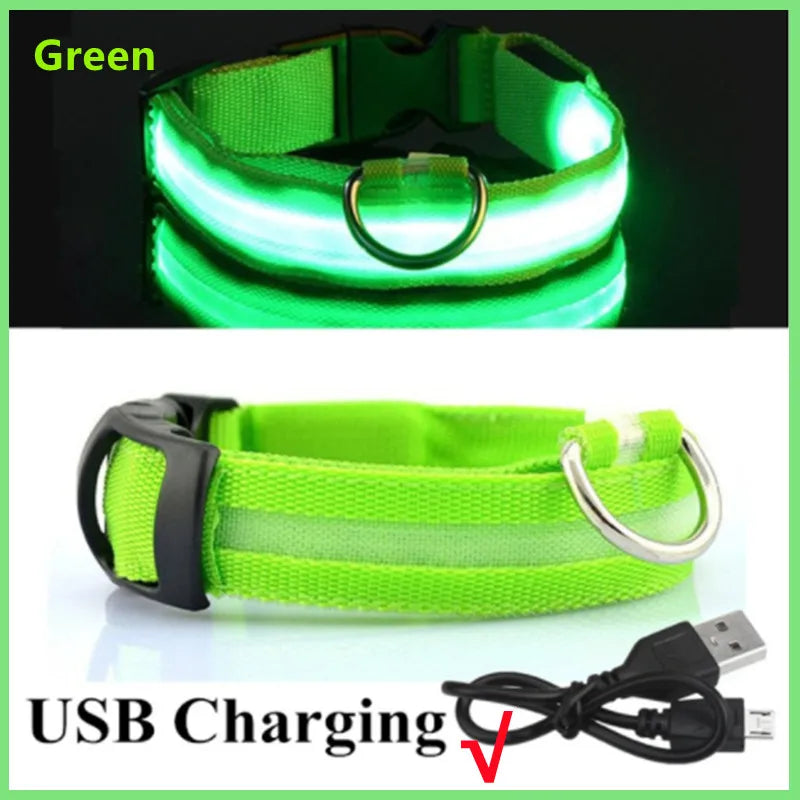 Glow in the dark glow collar small