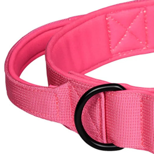 Cute pink dog collar