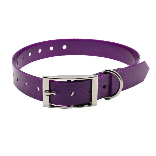 Small purple dog collar