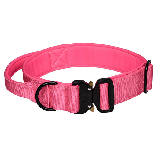 Cute pink dog collar