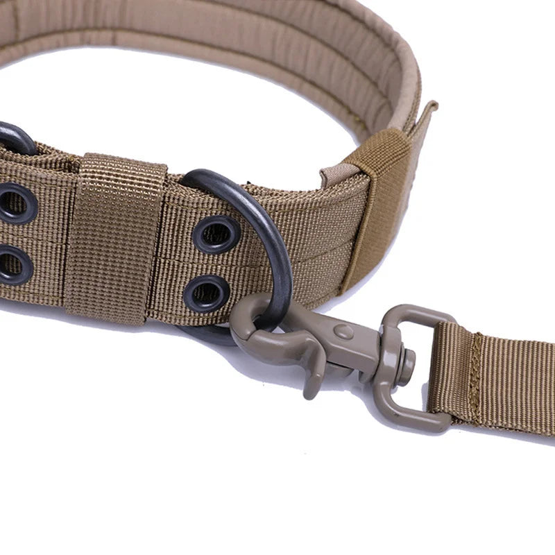 Dog safety collar