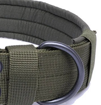 Large padded dog collar