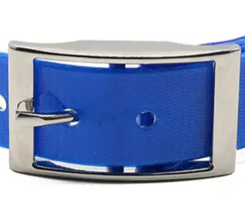 Small blue dog collar