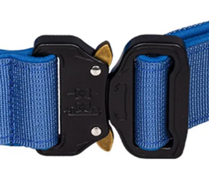 Buckle dog collar