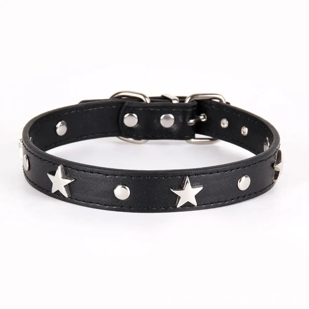 Leather dog collar with stars