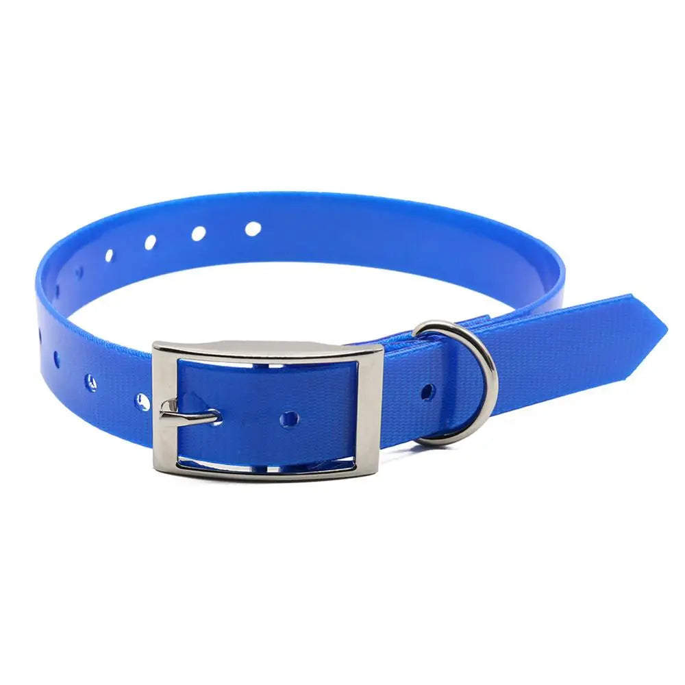 Small blue dog collar