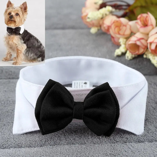 Bow tie tuxedo dog collar