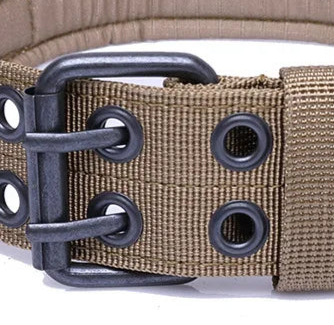 Dog safety collar