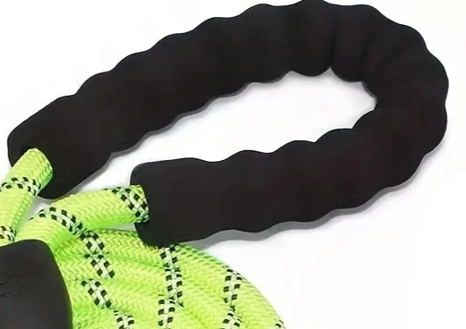 Green rope dog lead