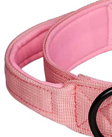 Lockable dog collar