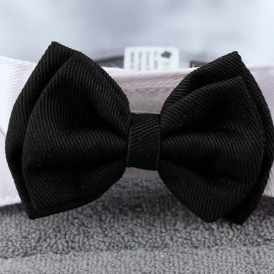 Bow tie tuxedo dog collar