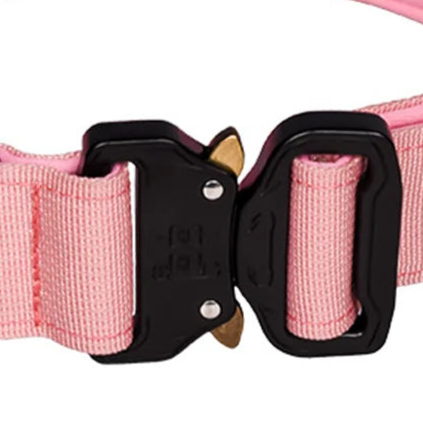 Pale pink dog collar