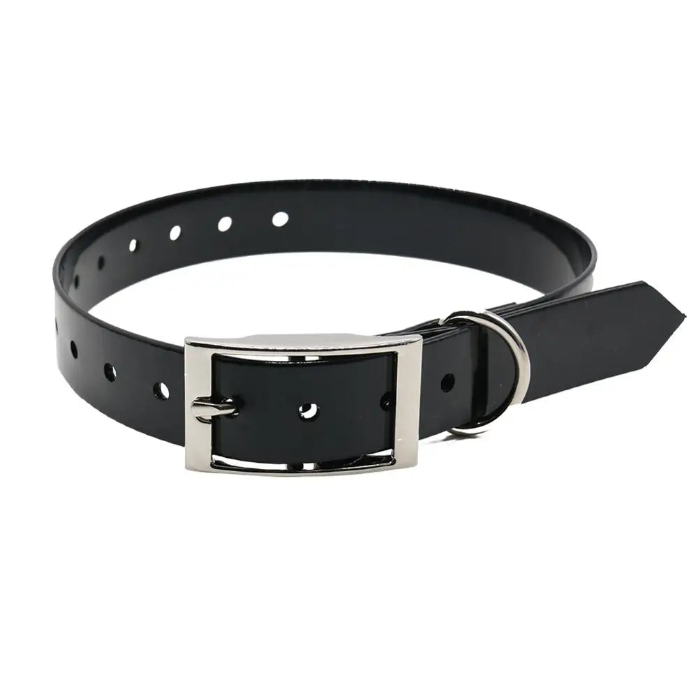 Small black dog collar