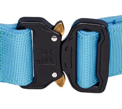 Heavy duty dog collar with handle