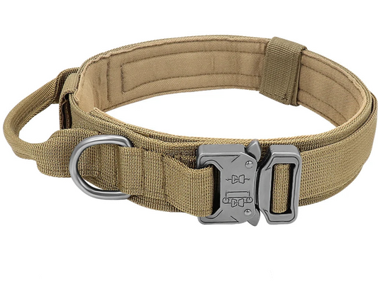 Heavy duty dog collar