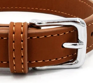 XL leather dog collar