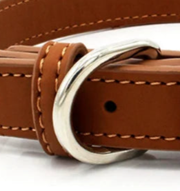 XL leather dog collar