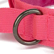 Pink padded dog collar