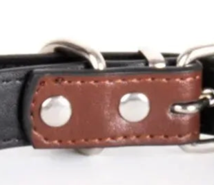 Vintage leather dog collar