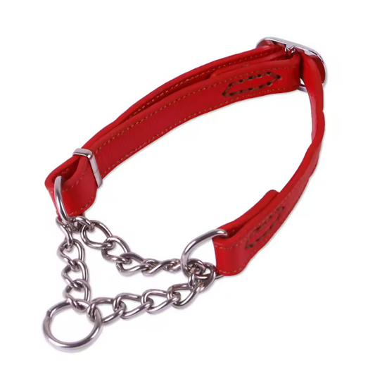 Red martingale dog collar