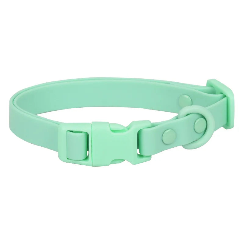 Lightweight dog collar for small dogs