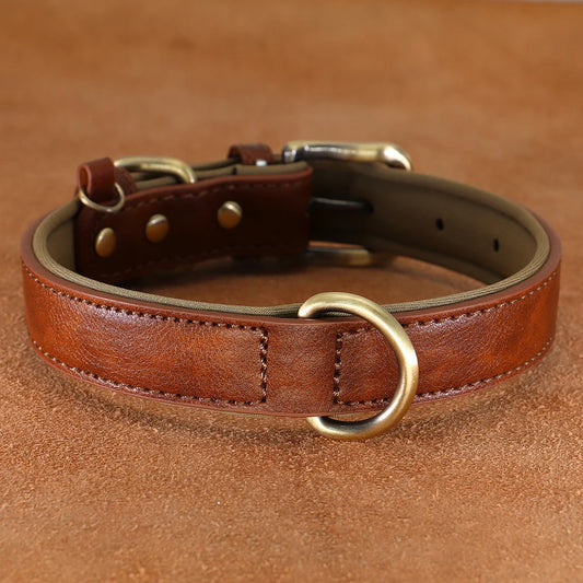 Leather clip dog collar