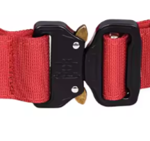 Red tactical dog collar