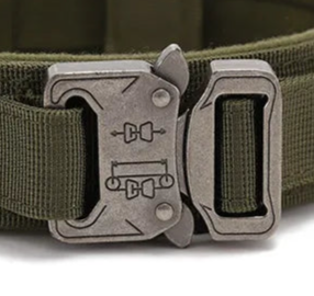 Cushioned dog collar