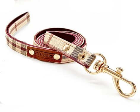 Small dog collar and lead