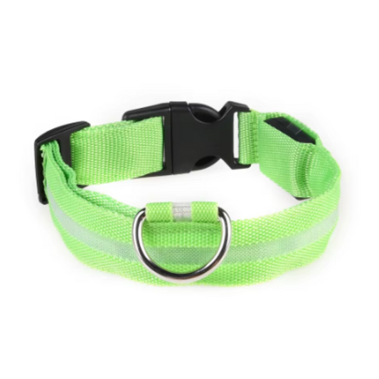 Green puppy collar