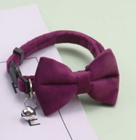 Dog necktie collar