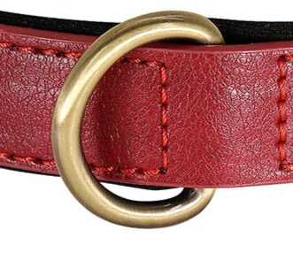 Leather metal dog collar with buckle