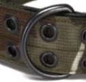 Wide tactical dog collar