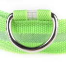 Green puppy collar