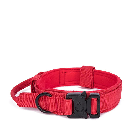 Red padded dog collar