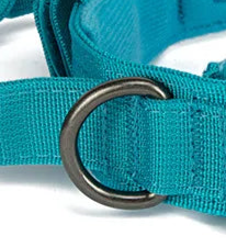 Thick dog collar