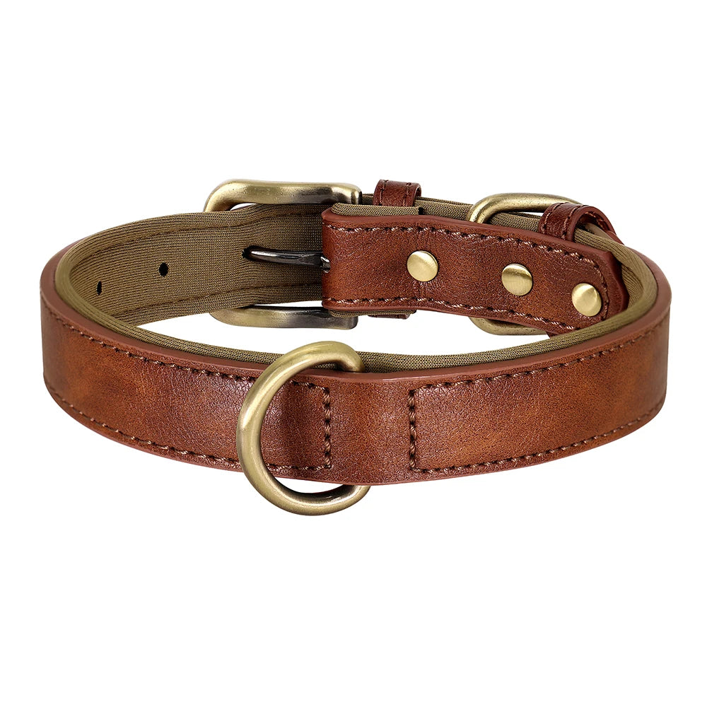 Leather clip dog collar