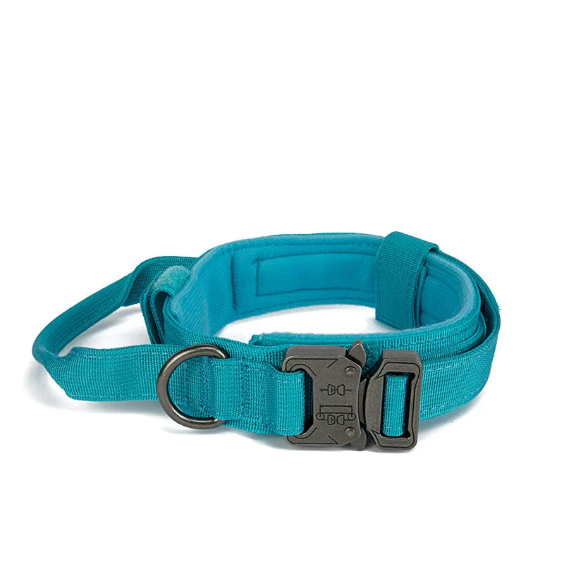 Thick dog collar