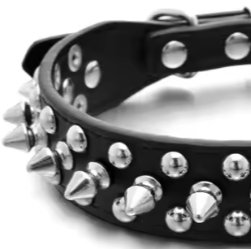 Puppy spiked collar