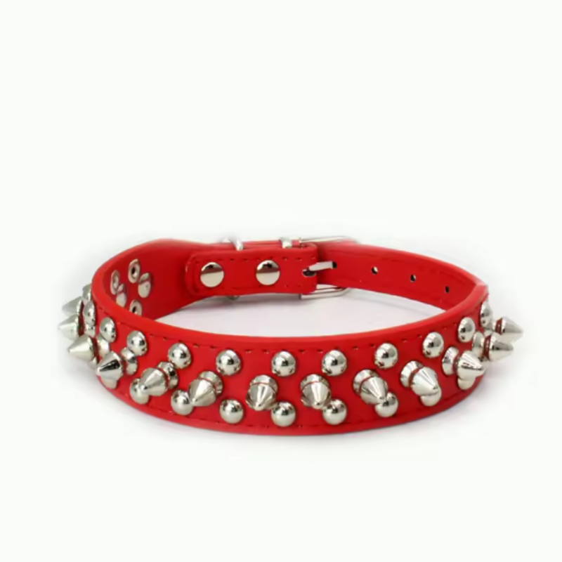 Pitbull puppy collar