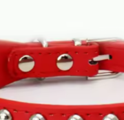 Pitbull puppy collar